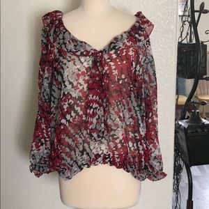 Sheer super cute top